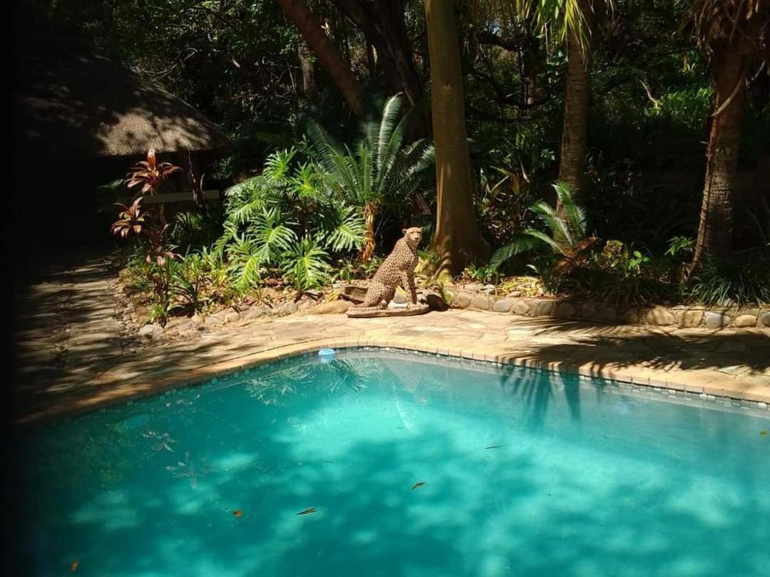 Paradise River Lodge Hoedspruit Exterior foto